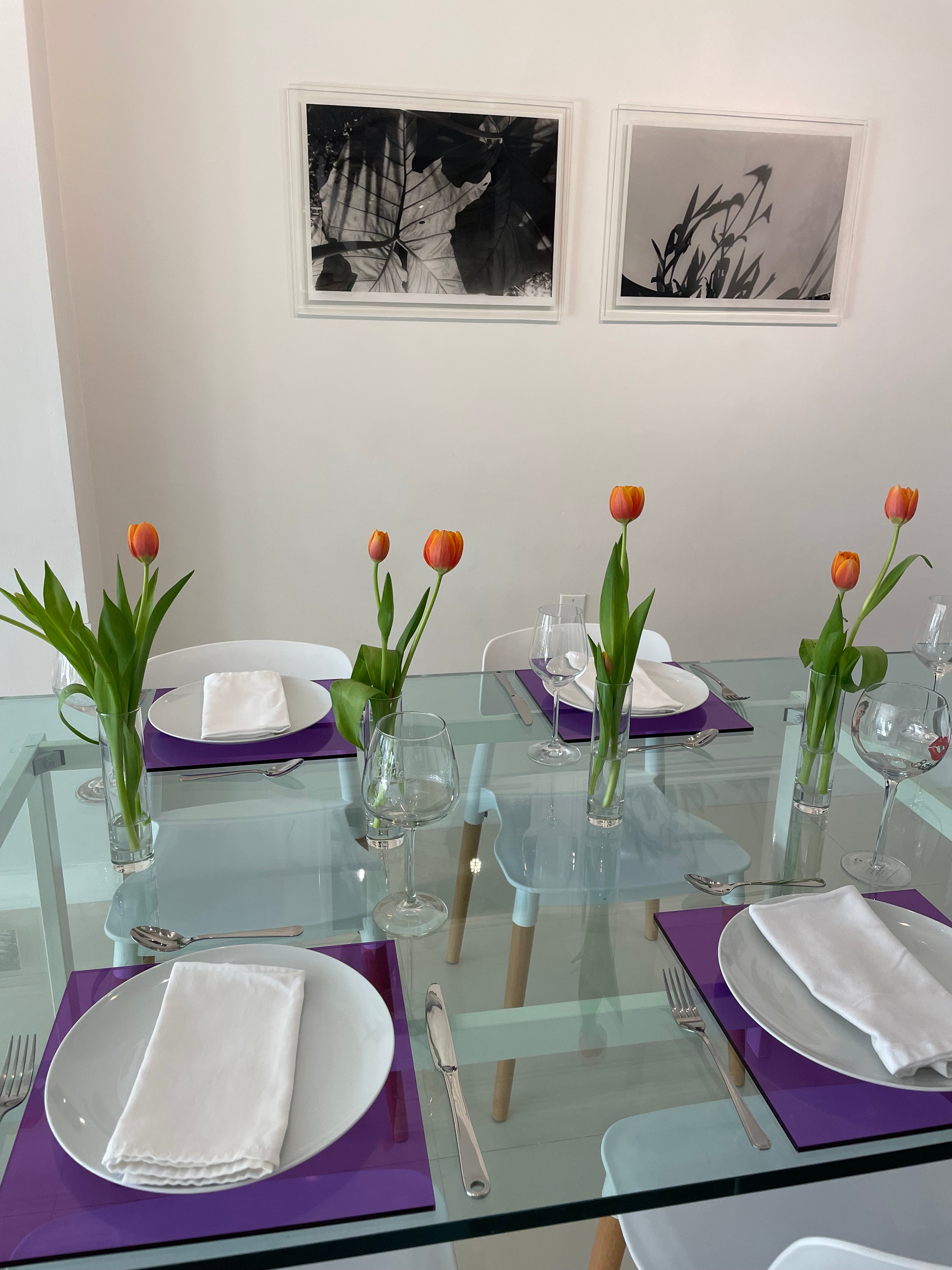 Seceda Placemats